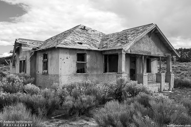 steffelmaier_bryce_tn