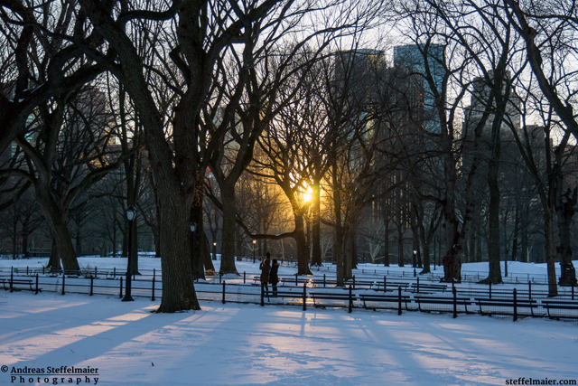 steffelmaier_central_park_snow_tn