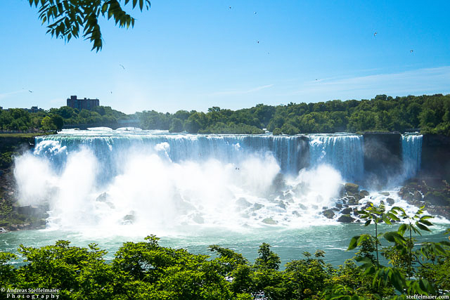 steffelmaier_niagara_falls_tn