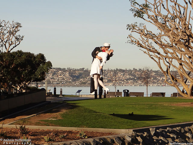 steffelmaier_surrender_tn