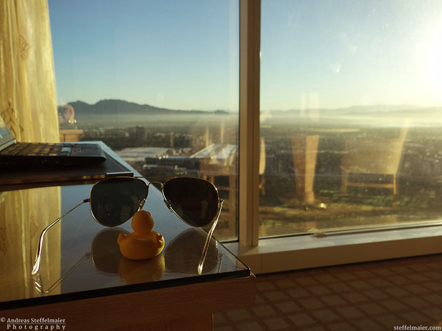 steffelmaier_vegas_baby_tn