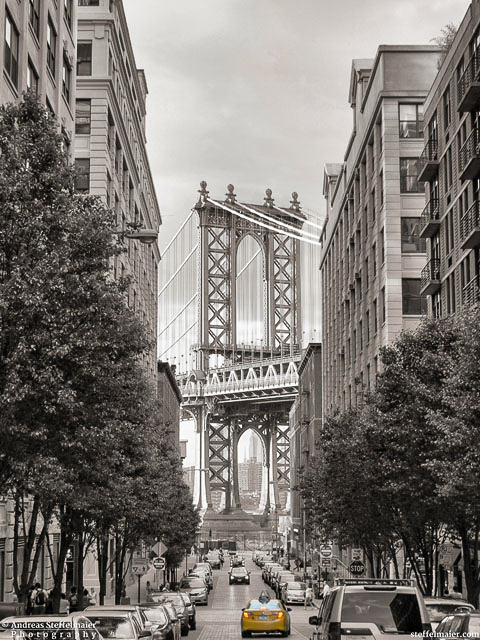 steffelmaier_washington_st_tn