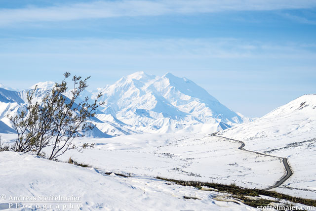 steffelmaier_MtDenali_tn