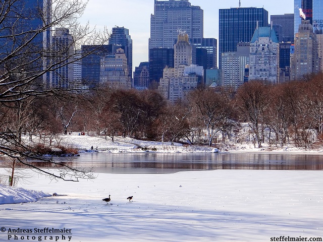 steffelmaier_central park in winter_tn