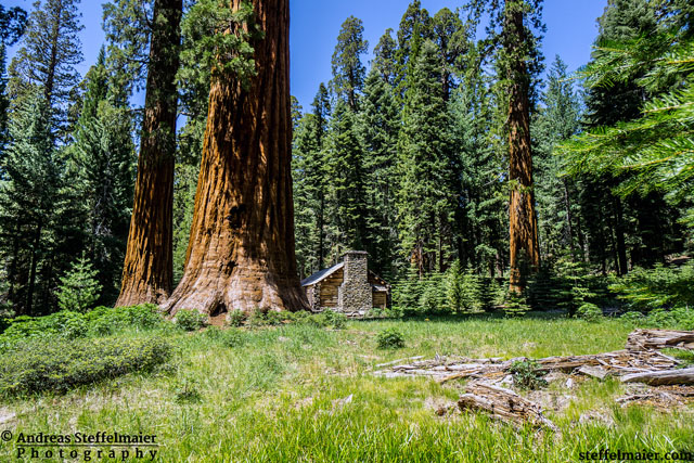 steffelmaier_cabin in the woods_tn