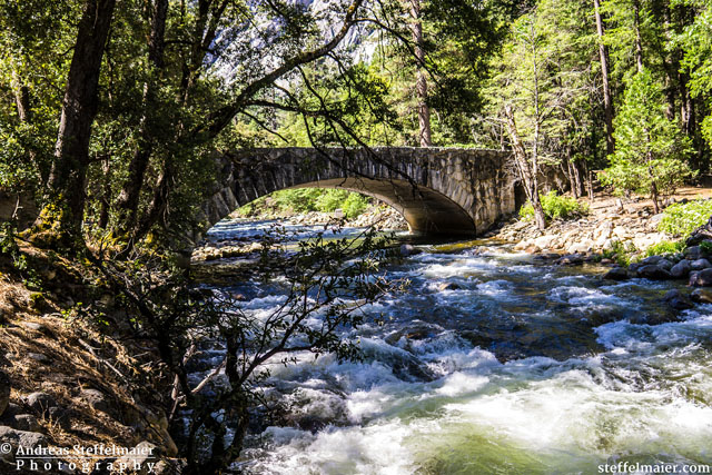 steffelmaier_happy isles bridge_tn