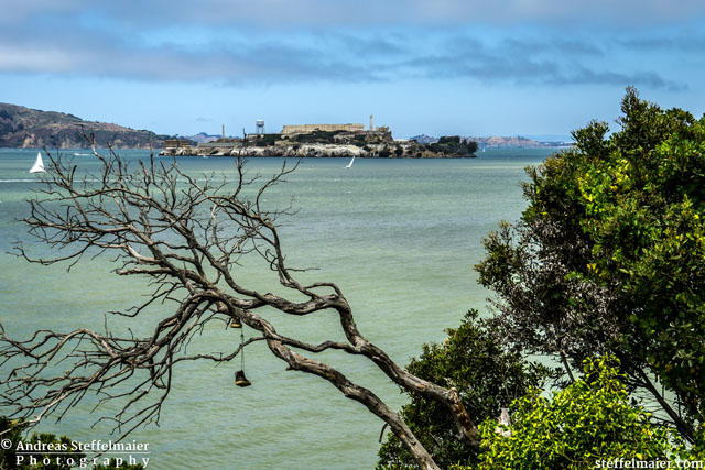 Steffelmaier Alcatraz