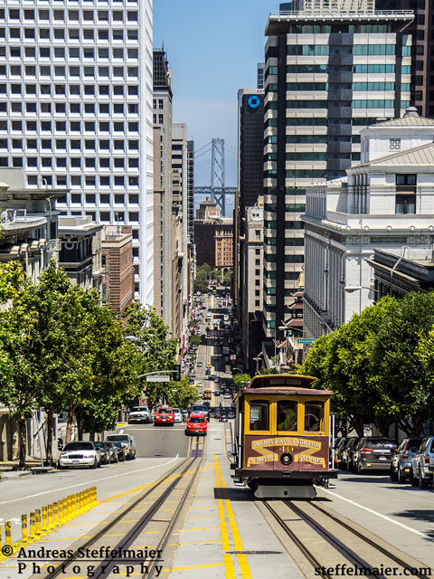 Steffelmaier California Street