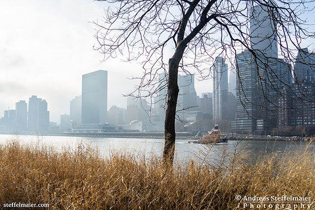 steffelmaier_foggy morning_tn