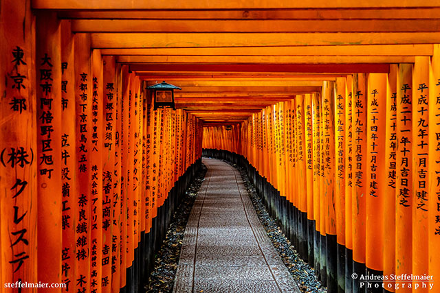 andreas steffelmaier photography fushimi inari shrine