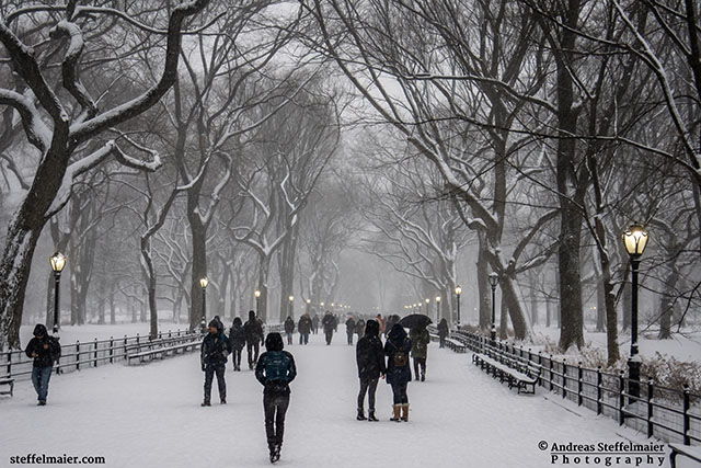 central park covered in snow andreas steffelmaier