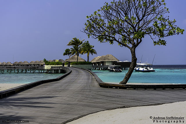 andreas steffelmaier photography vacation vibes