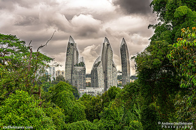 Andreas Steffelmaier Photography Keppel Bay View