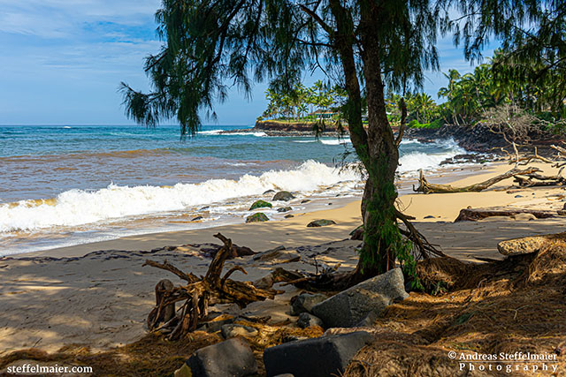 Andreas Steffelmaier Photography Paia Beach