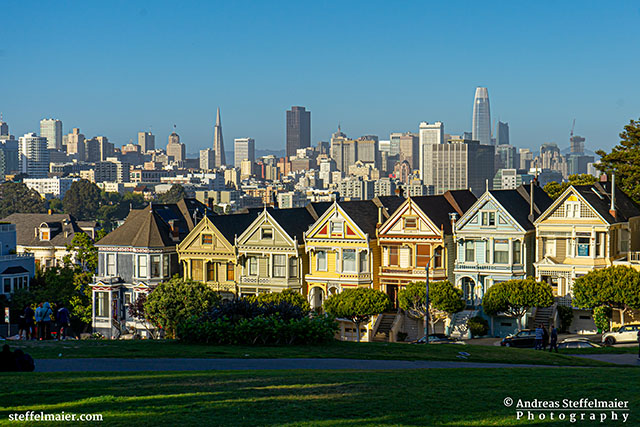 Andreas Steffelmaier Photography Painted Ladies